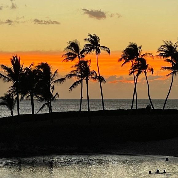 Meet your Posher, BeachySD - Picture 9 of 16